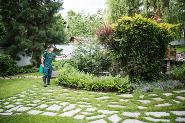 Flea Control Services in Urbana, IL