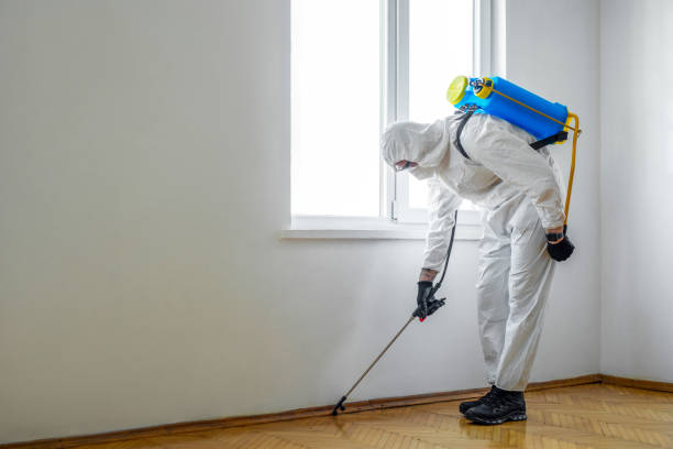 Best Cockroach Control Services  in Urbana, IL