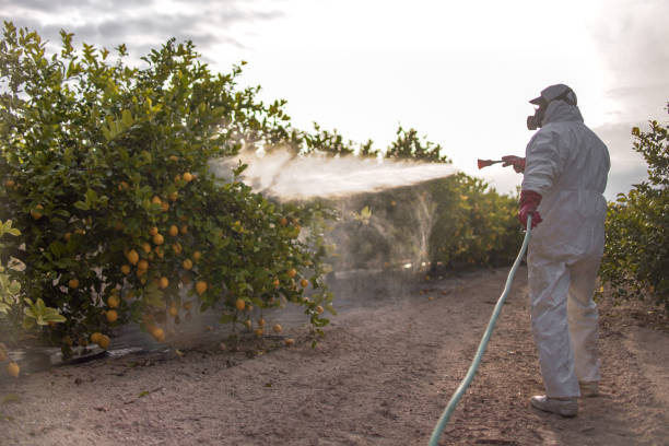 Best Best Pest Control Companies  in Urbana, IL