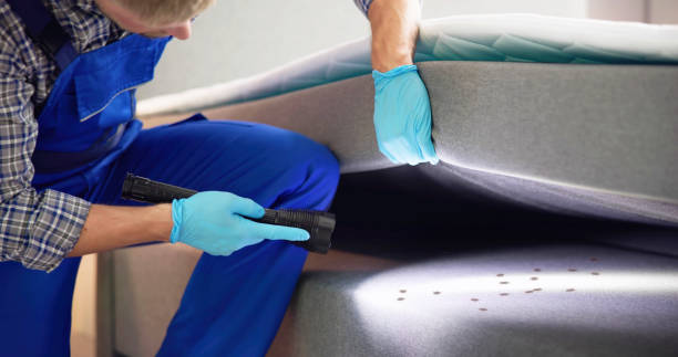 Best Pest Removal Services  in Urbana, IL