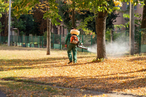 Best Termite Control Services  in Urbana, IL