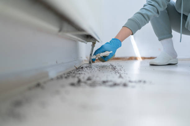 Best Commercial Pest Control Services  in Urbana, IL