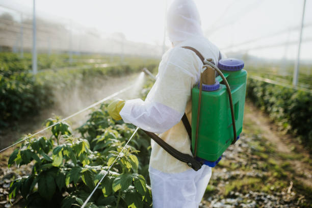 Best Local Pest Control Services  in Urbana, IL